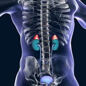 Adrenal Disorders